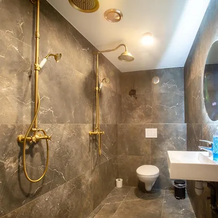 Esplanade Private Sauna Jeux Colmar Holiday home