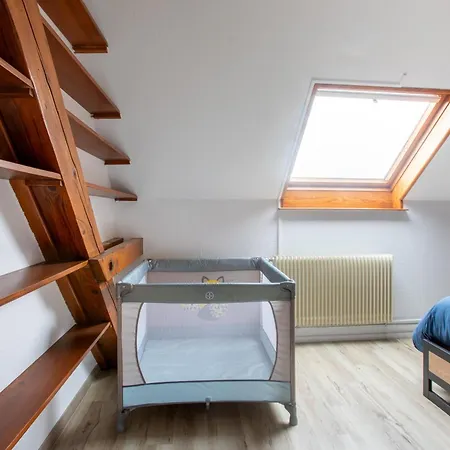 Esplanade Private Sauna Jeux Colmar Holiday home